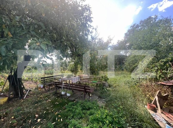 Casa de vânzare 5 camere Marasti - 148524CV | BLITZ Cluj-Napoca | Poza3