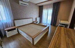 Casa superba, 250 mp utili, 600 mp curte, 3 parcari, zona Stadion CFR