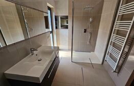 Casa superba, 250 mp utili, 600 mp curte, 3 parcari, zona Stadion CFR