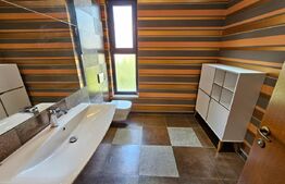 Casa superba, 250 mp utili, 600 mp curte, 3 parcari, zona Stadion CFR