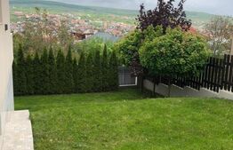 Casa superba, 250 mp utili, 600 mp curte, 3 parcari, zona Stadion CFR