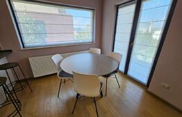 Casa superba, 250 mp utili, 600 mp curte, 3 parcari, zona Stadion CFR