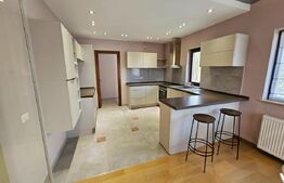 Casa superba, 250 mp utili, 600 mp curte, 3 parcari, zona Stadion CFR