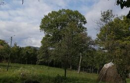 Teren intravilan, 1000 mp, Masca, comuna Iara