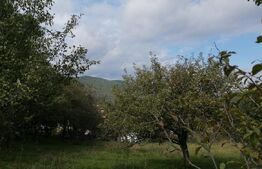 Teren intravilan, 1000 mp, Masca, comuna Iara