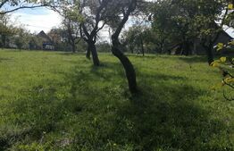 Teren intravilan, 1000 mp, Masca, comuna Iara