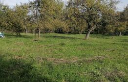 Teren de vânzare Mărişel - 181616TV | BLITZ Cluj-Napoca | Poza5