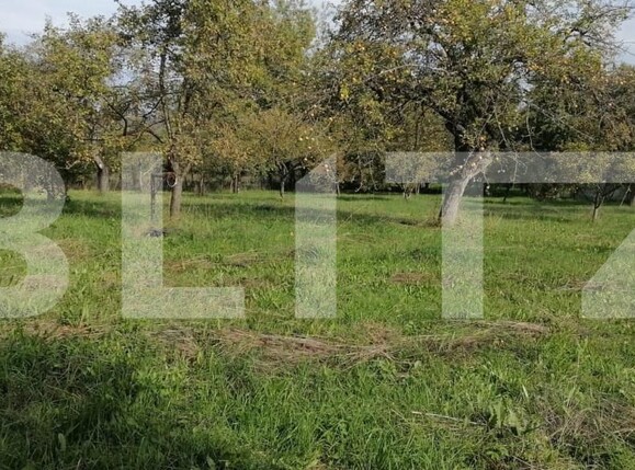 Teren de vânzare Exterior Sud - 148528TV | BLITZ Cluj-Napoca | Poza1