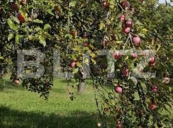 Teren de vânzare Exterior Sud - 148528TV | BLITZ Cluj-Napoca | Poza6