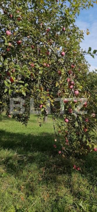 Teren de vânzare Exterior Sud - 148528TV | BLITZ Cluj-Napoca | Poza6