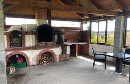 Pensiune de vanzare, 360 mp utili, 7500 teren, Zona Turistica, Risca