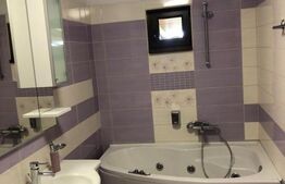 Pensiune de vanzare, 360 mp utili, 7500 teren, Zona Turistica, Risca