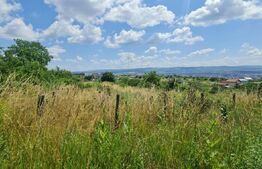 Teren, 1000 mp, Iris