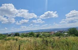 Teren, 1000 mp, Iris