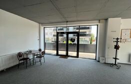 Spatiu finisat pentru show-room sau activitati medicale, 250MP, Zorilor