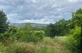 Teren 1500 mp, front 20 m, pretabil constructie case, Gruia