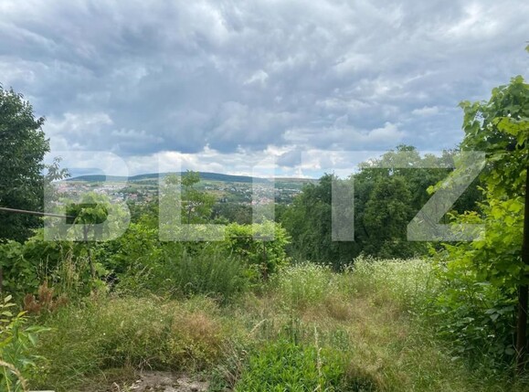 Teren de vânzare Gruia - 148649TV | BLITZ Cluj-Napoca | Poza1