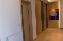 5 camere, 171 mp, terasa 350 mp, oferta unica, zona Iulius Mall!