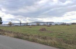 Teren intravilan pentru hale, 11600 mp, utilitati