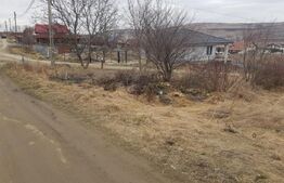 Oportunitate investitie! Teren extravilan de 2409 mp zona CREIC, Iris