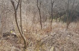 Teren intravilan 955 mp zona Grigorescu panorama deosebita !