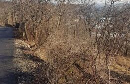 Teren intravilan 955 mp zona Grigorescu panorama deosebita !