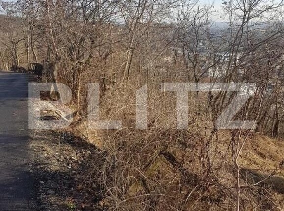 Teren de vânzare Grigorescu - 148723TV | BLITZ Cluj-Napoca | Poza5