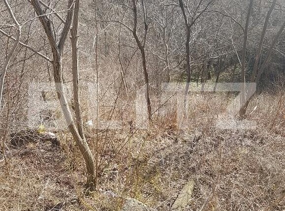 Teren de vânzare Grigorescu - 148723TV | BLITZ Cluj-Napoca | Poza3