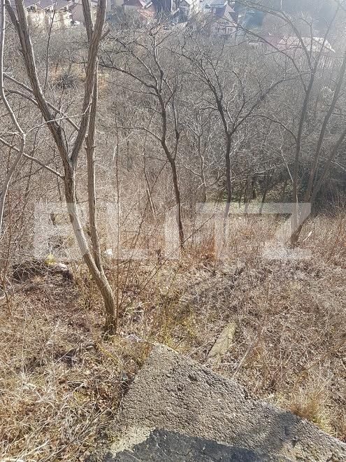 Teren de vânzare Grigorescu - 148723TV | BLITZ Cluj-Napoca | Poza3