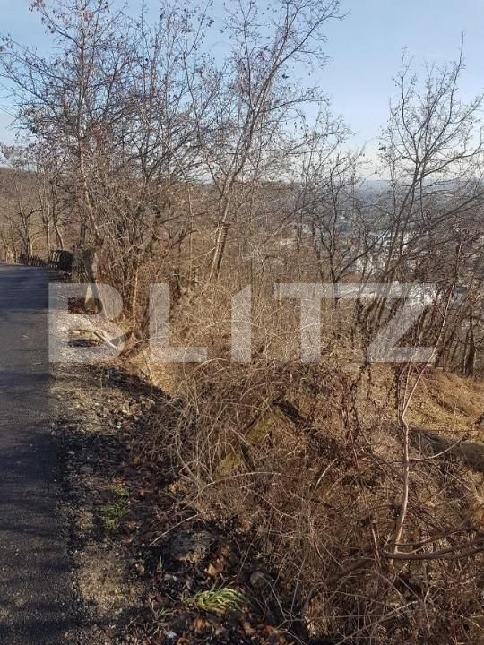 Teren de vânzare Grigorescu - 148723TV | BLITZ Cluj-Napoca | Poza5