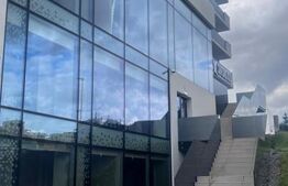 Spatiu comercial, 262mp, Marasti