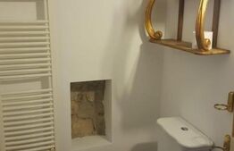 Spatiu in Piata Unirii cu potential pentru investitie