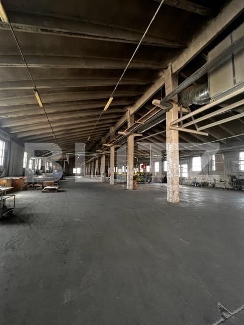 Spațiu industrial de închiriat Baciu - 148760SII | BLITZ Cluj-Napoca | Poza4