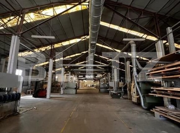 Spațiu industrial de închiriat Baciu - 148761SII | BLITZ Cluj-Napoca | Poza2