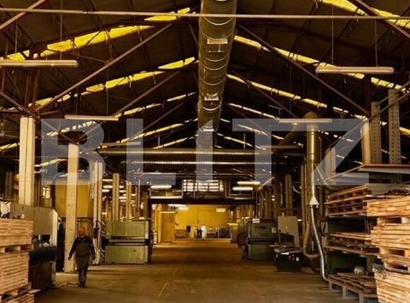 Spațiu industrial de închiriat Baciu - 148761SII | BLITZ Cluj-Napoca | Poza6