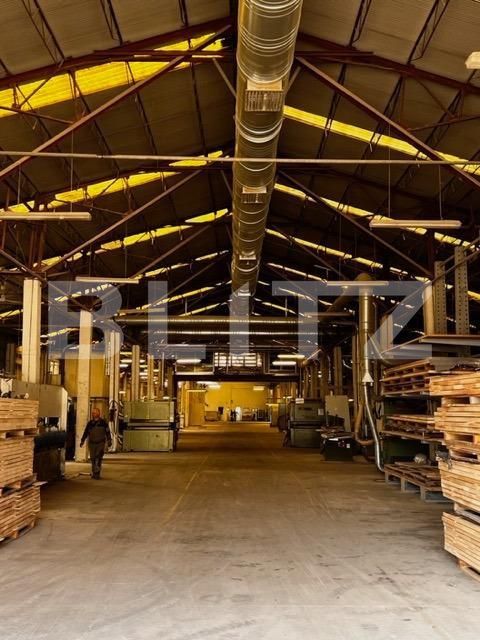 Spațiu industrial de închiriat Baciu - 148761SII | BLITZ Cluj-Napoca | Poza6