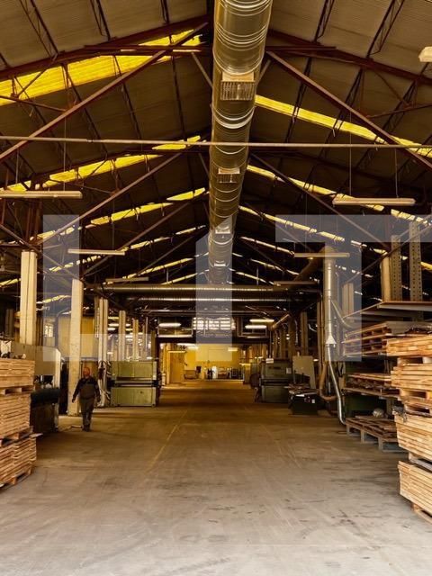Spațiu industrial de închiriat Baciu - 148761SII | BLITZ Cluj-Napoca | Poza6