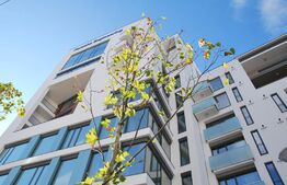 Open space, cladire clasa A