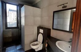 Casa unicata, 450 mp,teren 900 mp, pozitie superba,Bussines Location, Grigorescu