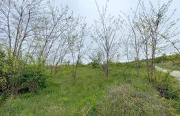 Teren extravilan, 961 mp, utilitati in zona , Valea Chintaului