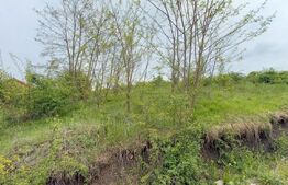 Teren extravilan, 961 mp, utilitati in zona , Valea Chintaului