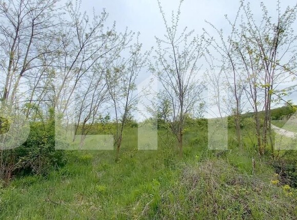 Teren de vânzare Exterior Nord - 148793TV | BLITZ Cluj-Napoca | Poza2