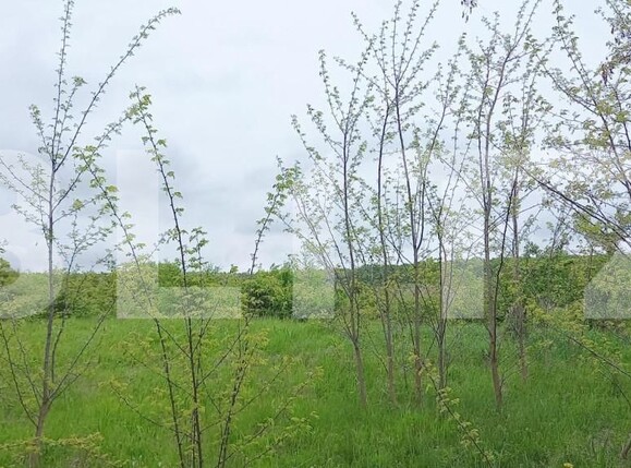 Teren de vânzare Exterior Nord - 148793TV | BLITZ Cluj-Napoca | Poza3