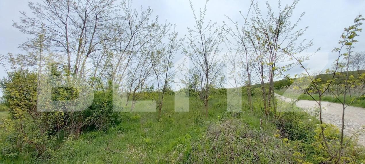 Teren de vânzare Exterior Nord - 148793TV | BLITZ Cluj-Napoca | Poza2