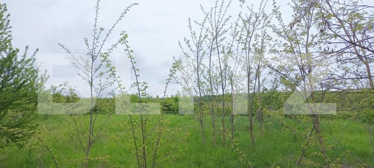 Teren de vânzare Exterior Nord - 148793TV | BLITZ Cluj-Napoca | Poza3