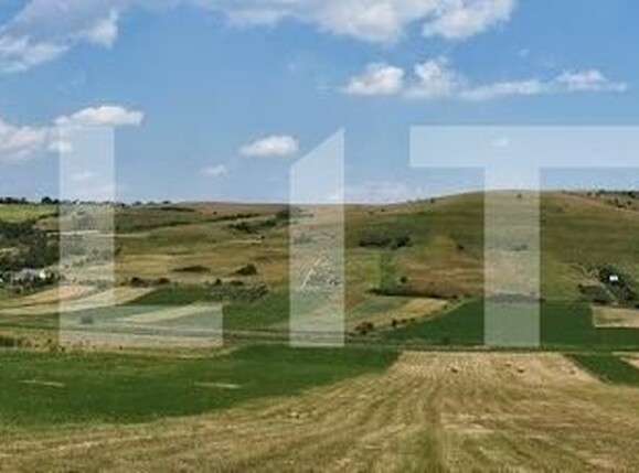 Teren de vânzare Sopor - 148794TV | BLITZ Cluj-Napoca | Poza2