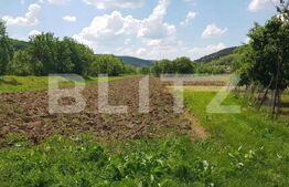  Casa individuala, 80 mp, teren 13000 mp, intrare in Dej