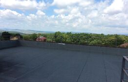 Casa imprimata de un clasic mereu in tendinte, zona Faget, teren 1800 mp!