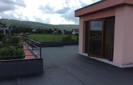 Casa imprimata de un clasic mereu in tendinte, zona Faget, teren 1800 mp!