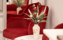 Afacere la cheie!! Complex hotelier in inima padurii la 5 km distanta de Brasov